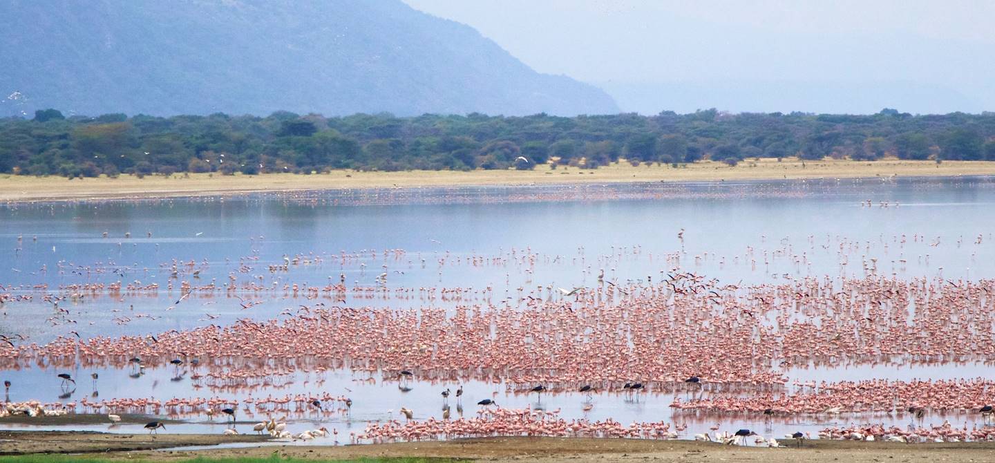 safari-parc-du-lac-manyara-tanzanie-590768-1440x670